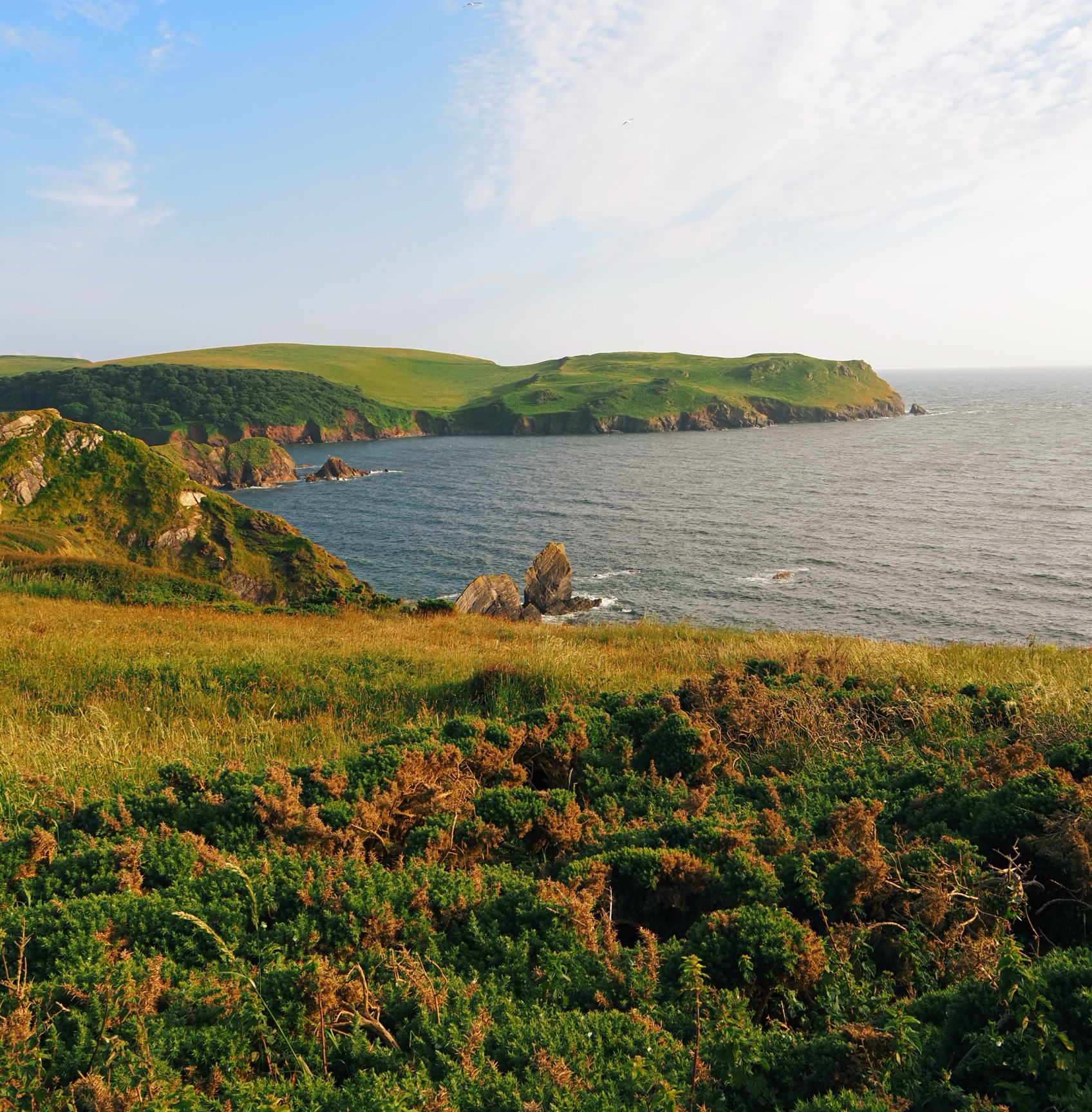 Coastal view
